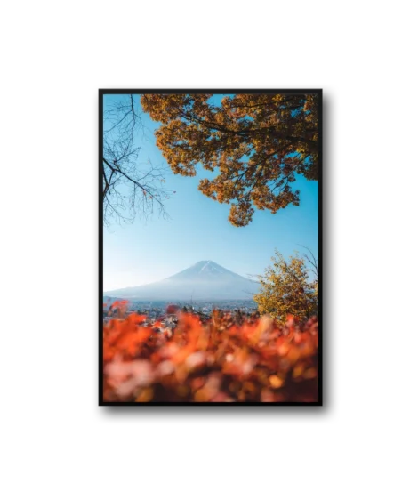 Peach Frame - Image 3